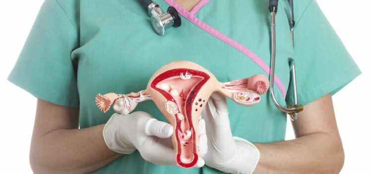 Şişli kürtaj yapan yerler Abortion Curettage Price İstanbul pregnancy curettage maslak kürtaj fiyatları 2021 levent kürtaj fiyatları 2021 özel kürtaj yerleri 2021 Özel kürtaj ne kadar 2021 kürtaj klinikleri İstanbul 2021 kürtaj kliniği İstanbul 2021 kürtaj kliniği 2021 özel kürtaj klinikleri 2021 kürtaj klinikleri 2021 İstanbul kadın kürtaj kliniği 2021 özel İstanbul kadın kürtaj kliniği 2021 özel İstanbul kürtaj kliniği 2021 İstanbul kürtaj kliniği 2021 kürtaj fiyatları kadınlar kulübü 2021 kürtaj yapan doktorlar İstanbul 2021 kürtaj yapan hastaneler İstanbul 2021 kürtaj yapan devlet hastaneleri 2021 kürtaj yapan devlet hastaneleri İstanbul 2021 kürtaj yapan devlet hastaneleri İstanbul 2021 kürtaj yapan özel hastaneler İstanbul 2021 kürtaj yapan yerler İstanbul 2021 kürtaj yapan klinikler 2021 kürtaj yapan klinikler kürtaj yapan doktorlar kürtaj yapan hastaneler 10 haftalık kürtaj fiyatları isteğe bağlı kürtaj yapan hastaneler İstanbul 6 haftalık kürtaj fiyatı 7 haftalık kürtaj fiyatları 8 haftalık kürtaj fiyatı 9 haftalık kürtaj fiyatı 5 haftalık kürtaj fiyatı Evlilik dışı kürtaj fiyatları kürtaj yasal mı İstanbul kürtaj kliniği iletişim genel Anestezili kürtaj fiyatları İstanbul Kürtaj Fiyatları Kürtaj Nedir ? Kürtaj Hakkında Kürtaj Öncesi Yapılması Gerekenler ? Vakumlu Kürtaj Gizliliği özel hastane kürtaj fiyatları 2020 Devlet Hastanesi Kürtaj Fiyatları 2020 Beşiktaş kürtaj fiyatları Mecidiyeköy Kürtaj Fiyatları Bayrampaşa kürtaj fiyatları Başakşehir kürtaj fiyatları Bakırköy kürtaj fiyatları Bahçelievler kürtaj fiyatları Bağcılar kürtaj fiyatları Avcılar kürtaj fiyatları Ataşehir kürtaj fiyatları Arnavutköy kürtaj fiyatları Beylikdüzü kürtaj fiyatları Adalar kürtaj fiyatları Beykoz kürtaj fiyatları Kürtaj Sonrası Kanama Kürtaj Sonrası Adet Kürtaj Çeşitleri Nelerdir ? Vakumlu Kürtaj Evlilik dışı kürtaj fiyatları kürtaj yasal mı İstanbul Kürtaj Yapan Yerler Vakumlu Kürtaj Nasıl Yapılır ? Beyoğlu kürtaj fiyatları Büyükçekmece kürtaj fiyatları Çatalca kürtaj fiyatları Çekmeköy kürtaj fiyatları Esenler kürtaj fiyatları Eyüp kürtaj fiyatları Fatih kürtaj fiyatları gop kürtaj fiyatları Gaziosmanpaşa kürtaj fiyatları Güngören kürtaj fiyatları Kadıköy kürtaj fiyatları Kağıthane kürtaj fiyatları Kartal kürtaj fiyatları Küçükçekmece kürtaj fiyatları Maltepe kürtaj fiyatları Pendik kürtaj fiyatları Sancaktepe kürtaj fiyatları Sarıyer kürtaj fiyatları Silivri kürtaj fiyatları Sultanbeyli kürtaj fiyatları Sultangazi kürtaj fiyatları Şile kürtaj fiyatları Şişli kürtaj fiyatları Tuzla kürtaj fiyatları Ümraniye kürtaj fiyatları Üsküdar kürtaj fiyatları Zeytinburnu kürtaj fiyatları İstanbul Avrupa yakası kürtaj fiyatları İstanbul Anadolu yakası kürtaj fiyatları kürtaj fiyatları 2021 esenyurt kurtaj fiyatları esenyurt kürtaj merkezi kürtaj esenyurt esenlerde kürtaj yapan hastaneler esenler kürtaj fiyatları esenler kürtaj merkezi esenler kürtaj çekmeköy kürtaj fiyatları çatalca kürtaj fiyatları çatalca kürtaj büyükçekmece kürtaj beyoğlu kürtaj beylikdüzü İstanbul beylikdüzü kürtaj beylikdüzü kürtaj yapan doktorlar beylikdüzü kürtaj kliniği beylikdüzü kürtaj beykoz kürtaj beşiktaş kürtaj bayrampaşa kürtaj kürtaj bakırköy İstanbul bakırköy kürtaj bakırköy kürtaj burcu bakırköy kürtaj klinik bakırköy kürtaj merkezi bakırköy kürtaj yapan doktorlar bahçelievler medicana bahçelievler kürtaj fiyatları bağcılar kürtaj fiyatları bağcılarda kürtaj yapan hastaneler bağcılar devlet hastanesi kürtaj fiyatları bağcılar kürtaj kurtaj fiyatlari avcilar avcılar kürtaj klinikleri avcılar kürtaj ataşehir kürtaj yapan yerler ataşehir de kürtaj yapan hastaneler ataşehir kürtaj fiyatları ataşehir kürtaj fiyatları Ahırkapı kürtaj çeşitleri nelerdir ? kürtaj fiyatları İstanbul kürtaj fiyatları adalar Devlet hastanesi kürtaj fiyatları Zincirlikuyu Kürtaj Fiyatları Özel hastane kürtaj fiyatları Adalar kürtaj fiyatları Vakumlu kürtaj nedir ? Arnavutköy kürtaj fiyatları Kürtaj Sonrası Enfeksiyon Kürtaj Sonrası Parça Kalması (Rest Plasenta) Kürtajda Gebeliğin Sonlandırılamaması Kürtaj sonrası psikolojik bozukluklar Kürtaj İşleminin Riskleri Ve Zararları Nelerdir? Büyük Gebeliklerde Kürtaj Fiyatları Büyük Gebeliklerde Kürtaj Operasyonu Nasıl Yapılır? Büyük Gebeliklerde Kürtaj Nerede Yapılır? Kürtajdan Hemen Sonra Yapılmaması Gereken Şeyler Kürtajdan Sonra Ne Yapılmalı, Ne Yapılmamalı? Kürtaj işlemi sonrasında yapılması ya da yapılmaması gerekenler şunlardır: Kürtaj Sonrası Duş Kürtaj Sonrası Kanama Kürtaj Sonrası Cinsel İlişki Kürtaj Kısırlığa Neden Olur Mu? Düşük Sonrası Kürtaj 2021 Kürtaj Fiyatları Evlilik Dışı Kürtaj Fiyatları 2021 İstanbul Kürtaj fiyatları 2019 Bebek aldırma fiyatları Büyük Gebeliklerde Kürtaj Fiyatları Neden Kürtaj Yapılır? Kürtaj Sonrası Bakım Nasıldır? Cinsel İlişkiye Ne Zaman Girilir? Kürtaj Konusundaki Detaylar Nelerdir? Kürtaj Sonrası Kanama Kürtaj Sonrası Cinsel İlişki Kürtaj İşlemi Sonrası Kısırlık Olur mu? Kürtaj Sonrası Duş Kürtaj Nedir? Nerede Gerçekleştirilir? Kürtaj sonrası Cinsel İlişki Süresi Nedir? Kürtaj sonrası Ne Zaman Hamile Kalınır? Kürtaj Sonrası Hamile Kalma Ağrısız Kürtaj Yöntemleri Nelerdir? Kürtaj İşleminin Riskleri ve Olası Zararları Kürtaj İşlemi Ağrılı mı? Kürtaj İşleminden Sonra Ağrı Olur Mu? Kürtaj İşlemi Ne Kadar Sürer? Kürtaj İşlemi Sonrası Pansuman Gerekir Mi? Kürtaj İşleminin Riskleri Nelerdir? 2019 yılı Kürtaj Fiyatları 2020 yılı Kürtaj Fiyatları 2021 yılı Kürtaj Fiyatları 2019 Kürtaj Olmak Sağlığımı Etkiler Mi? Kürtaj Kaçıncı Haftaya Kadar Yapılabilir? Kürtaj İşlemi Ağrılı mı? Kürtaj Sonrası Kanama Kürtaj Sonrası Regl Kürtaj Sonrası Ateş Kürtaj Sonrası Ağrı Kürtaj ve Akıntı Kürtaj Sonrası Bulantı Kürtaj Sonrası Cinsel İlişki Kürtaj Sonrası Hamile Kalma Kürtaj ve Enfeksiyon Kürtaj Sonrası Kanama Kürtaj ve Regl Düzensizliği Kürtaj Kaçıncı Haftaya Kadar Yapılabilir? Kürtaj Operasyonu İçin Gebelik Haftası Nasıl Hesaplanır? Kürtaj İçin En Uygun Hafta Nedir? Kürtaj kaçıncı haftaya kadar yapılabilir 10.Haftaya Kadar Kürtaj Operasyonu 13.Haftadan Sonra Kürtaj Operasyonu Ağrısız Kürtaj Yöntemleri Nelerdir? Kürtaj fiyatları 2021 Evlilik Dışı Kürtaj Fiyatları 2021 Vakum Aspirasyon Kürtaj Yöntemi Kürtaj ile çocuk aldırma şartları nelerdir? Kürtaj İşlemi Sonrası Kısırlık Olur mu? İstenmeyen gebeliklerin sonlandırılması Kürtajın Yasal Sınırlılıkları Nelerdir? Kürtaj Nedir? Nasıl Yapılır? Kürtaj İşleminin Yasal Süreci Nedir? Kürtaj Nasıl Yapılır? Kürtaj Sonrası Yasaklar Kürtaj sonrası yapılmaması gereken şeyler Kürtaj fiyatları 2021 Bebek aldırma nasıl yapılır? Vakumla kürtajın faydaları Vakumla kürtaj nasıl yapılır? Bebek aldırma fiyatları ne kadardır? Kürtaj Sonrasında Hamile Kalmak İstemiyorum Kürtajdan Ne Kadar Sonra Hamile Kalabilirim Kürtaj kısırlık yapar mı? Kürtaj Sonrası Hamile Kalmak Daha mı Kolay? Kürtaj Sonrasında İyileşme Kürtaj Gebeliğin Kaçıncı Ayında Yapılır? İstanbul kürtaj fiyatları Kürtaj Sonrası Hamile Kalmak İçin Ne Kadar Süre Beklenmesi Gerekir? Düşük Sonrası Kürtaj Yapılır Mı? Yasal Olarak Kürtaj Kaç Haftadan Sonra Yapılmaz? Kürtaj Sonrası Hamile Kalınır Mı? Kürtaj Sonrası Ağrı Olmaması İçin Neler Yapılmalıdır? Kürtaj Kaç Saat Sürer? 10 Haftayı Geçen Gebeliklerde Kürtaj Vakumla Kürtaj Nedir? Vakumla Kürtajın Farkı Nedir? Evlilik dışı kürtaj fiyatları Devlet Hastanesinde Kürtaj Fiyatları Özel hastane kürtaj fiyatları Kürtaj ile çocuk aldırma şartları nelerdir? Türkiye de kürtaj olma şartları Türkiye’de çocuk aldırma şartları Türkiye’de kürtaj yasası Kürtaj Yasası, kürtaj işlemi kayıtlara geçer mi? Türkiye'de kürtaj yasak mı? Bebek aldırma fiyatları ne kadardır? Çocuk Aldırma Fiyatları Kürtaj sonrasında evde dikkat edilmesi Kürtaj fiyatları 2021 Kürtaj fiyatları 2020 İstanbul Kürtaj Fiyatları Ne Kadardır? İstanbul’da kürtaj fiyatları neye göre belirlenir? İstanbul’da kürtaj fiyatları Kürtaj Çeşitleri Nelerdir ? Vakumlu Kürtaj İstanbul kürtaj kliniği iletişim Devlet Hastanesi Kürtaj Fiyatları 2021 Özel Hastane Kürtaj Fiyatları 2021 Kızlık Zarı Muayenesi kürtaj fiyatları Adalar kürtaj fiyatları Arnavutköy kürtaj fiyatları Ataşehir kürtaj fiyatları Avcılar kürtaj fiyatları Bağcılar kürtaj fiyatları Bahçelievler kürtaj fiyatları Bakırköy kürtaj fiyatları Başakşehir kürtaj fiyatları Bayrampaşa kürtaj fiyatları Beşiktaş kürtaj fiyatları Beykoz kürtaj fiyatları Beylikdüzü kürtaj fiyatları Beyoğlu kürtaj fiyatları Büyükçekmece kürtaj fiyatları Çatalca kürtaj fiyatları Çekmeköy kürtaj fiyatları Esenler kürtaj fiyatları Eyüp kürtaj fiyatları Fatih kürtaj fiyatları Gaziosmanpaşa kürtaj fiyatları Güngören kürtaj fiyatları Kadıköy kürtaj fiyatları Kağıthane kürtaj fiyatları Kartal kürtaj fiyatları Küçükçekmece kürtaj fiyatları Maltepe kürtaj fiyatları Pendik kürtaj fiyatları Sancaktepe kürtaj fiyatları Sarıyer kürtaj fiyatları Silivri kürtaj fiyatları Sultanbeyli kürtaj fiyatları Sultangazi kürtaj fiyatları Şile kürtaj fiyatları Şişli kürtaj fiyatları Tuzla kürtaj fiyatları Ümraniye kürtaj fiyatları Üsküdar kürtaj fiyatları Zeytinburnu kürtaj fiyatları İstanbul Avrupa yakası kürtaj fiyatları İstanbul Anadolu yakası kürtaj fiyatları bebek aldırma İstanbul kürtaj doktorları kürtaj fiyatları İstanbul kürtaj fiyatları gizli kürtaj vakum kürtaj İstanbul kürtaj fiyatları 2021 kürtaj fiyati kürtaj ücretleri İstanbul kürtaj fıyatları 2021 İstanbul kürtaj fiyatları 2021 Kürtaj İstanbul kürtaj hakkında kürtaj ne demek gebelik sonlandırma istenmeyen gebelik bebek aldırma çocuk aldırma Kürtaj Çeşitleri Nelerdir Vakumlu Kürtaj haftası kürtaj kaç haftaya kadar yapılır kürtaj nedir kürtaj klinikleri kürtaj doktorları kürtaj hastanesi özel kürtaj klinik kürtaj nasıl yapılır kürtaj nasıl yapılır Genel anestezili kürtaj lokal anestezili kürtaj çeşitleri Kürtaj çeşitleri kürtaj ilacı vakumla kürtaj yasal mı kürtaj yasası kürtaj e-devlet kürtaj süresi kürtaj öncesi sigara kürtaj sonrası kanama kürtaj sonrası ağrı kürtaj sonrası adet kürtaj sonrası ilişki Kürtaj Çeşitleri Nelerdir Vakumlu Kürtaj gebelik haftası hesaplama gebelik testi kanda gebelik testi idrarda gebelik testi dış gebelik Vakum yöntemi kürtaj İstanbul Vakum yöntemi kürtaj fiyat 2021 güncel Ağrısız kürtaj Çeşitleri Nelerdir Vakumlu Kürtaj Yasal kürtaj Gizli kürtaj risklimi kürtaj zarar verir mi kürtaj olmak istiyorum evlilik dışı kürtaj fiyatları İstanbul kürtaj randevu kürtaj fiyatları ekşi kürtaj yapan özel hastaneler İstanbul anadolu yakası kürtaj yapan yerler avrupa yakası kürtaj yapan yerler özel kürtaj hastanesi Kürtaj Çeşitleri Nelerdir Vakumlu Kürtaj olmak istiyorum 2 aylık kürtaj fiyatı 1 aylık kürtaj fiyatı küretaj nerede kürtaj olabilirim özel kürtaj hastanesi güvenilir kürtaj merkezi gizli kürtaj gizli kürtaj fiyatı gizli kürtaj fiyatları kürtaj yapan yerler kürtaj yapan hastaneler kürtaj nerede yapılır kürtaj fiyatları kürtaj fiyatı kürtaj fiyati Kürtaj Çeşitleri Nelerdir Vakumlu Kürtaj İstanbul kürtaj fiyatları İstanbul kürtaj yapan yerler İstanbul kürtaj yapan hastaneler özel hastanede kürtaj fiyatları 2020 kürtaj fiyatları İstanbulda kürtaj fiyatları kürtaj doktorları kürtaj ücreti İstanbulda vakumlu kürtaj . vakum kürtaj , vakumlu kürtaj , vakumlu küretaj , Kürtaj Çeşitleri Nelerdir ? Vakumlu Kürtaj , kürtaj merkezi , kürtaj yeri , kürtaj merkezleri , kürtaj görüntüleri , kürtaj görüntüsü , kürtaj videosu , kürtaj izle .